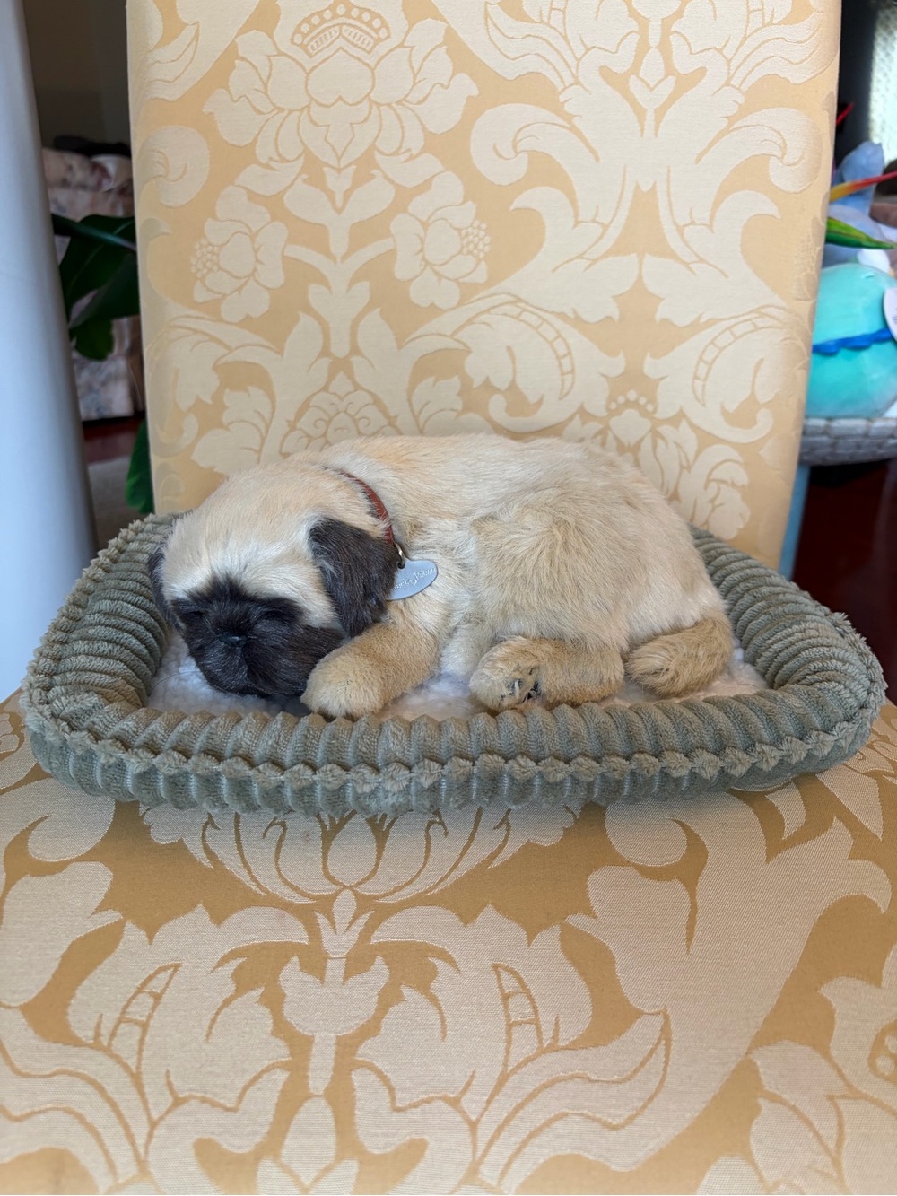 Plush Sleeping Pug Stuffed Animal - Cream and Black